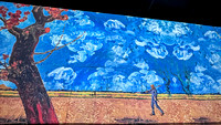 2021-11-22 Van Gogh Immersive Show_19