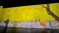 2021-11-22 Van Gogh Immersive Show_18